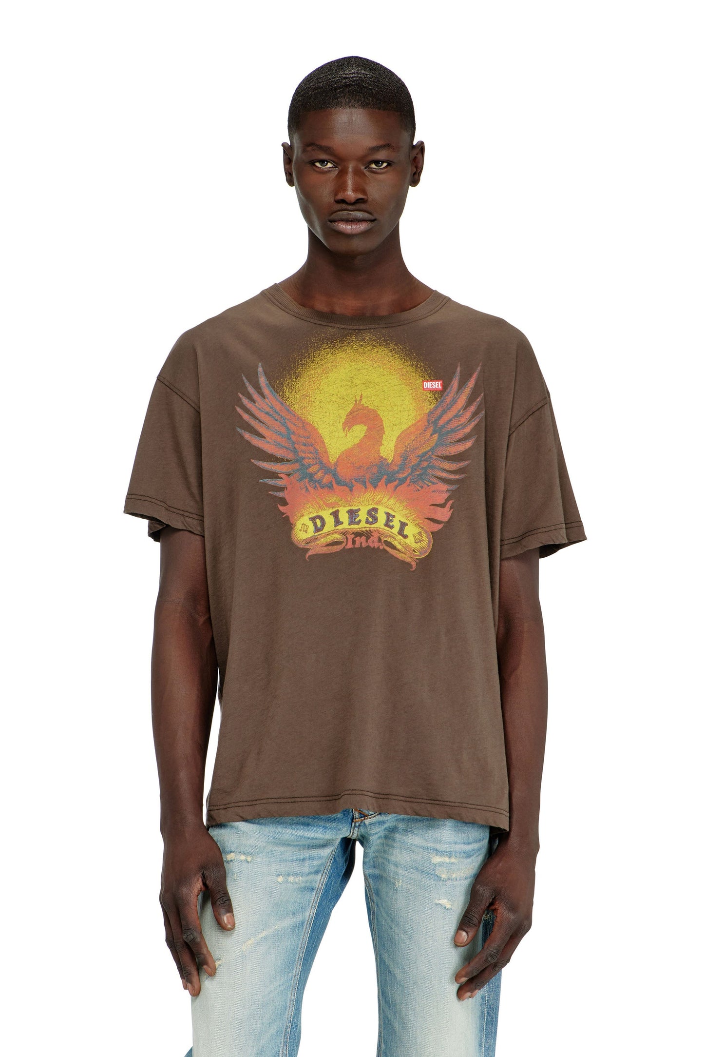 Regular T-shirt with Phoenix print